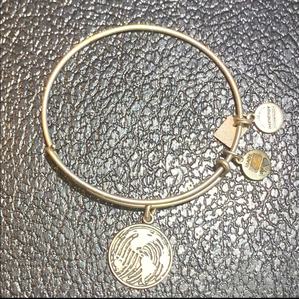 Alex and Ani Make Your Mark Bracelet